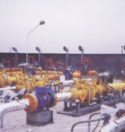 西氣東輸全線4000公里場站電伴熱項(xiàng)目 